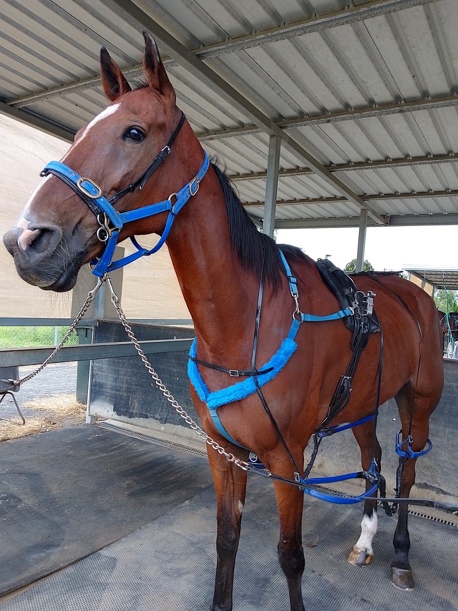 LewinJimmy's tweet photo. Win number 34 from 329 starts..#CircleLineWarrior https://t.co/2tSnyxO2vO