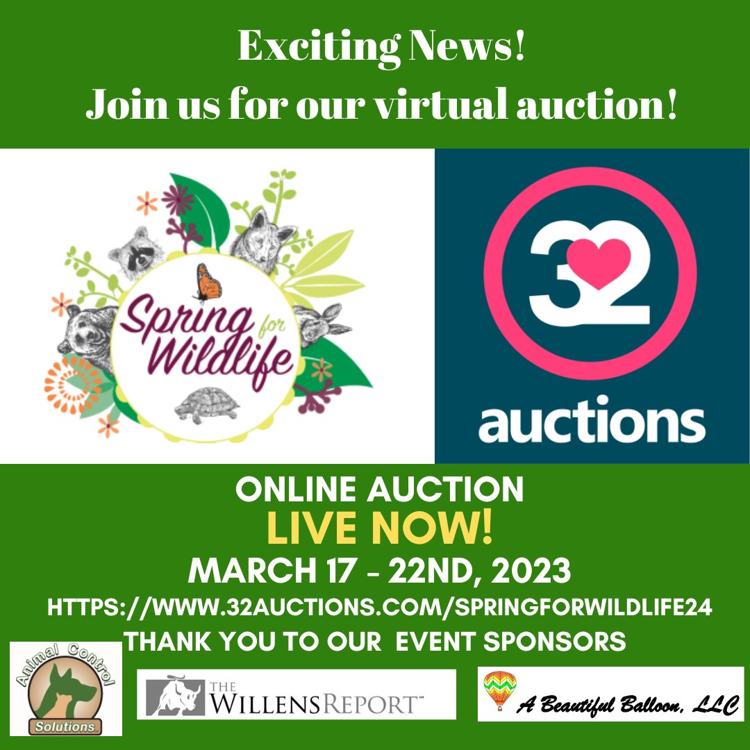 GO WILD! BIDDING is NOW OPEN!
Click here to visit auction now: 32auctions.com/springforwildl…
Peruse our amazing variety of over 172 incredible items! 

For complete event information visit woodlandswildlife.org/springforwildl…

#auction #onlineauction #charity #nonprofit