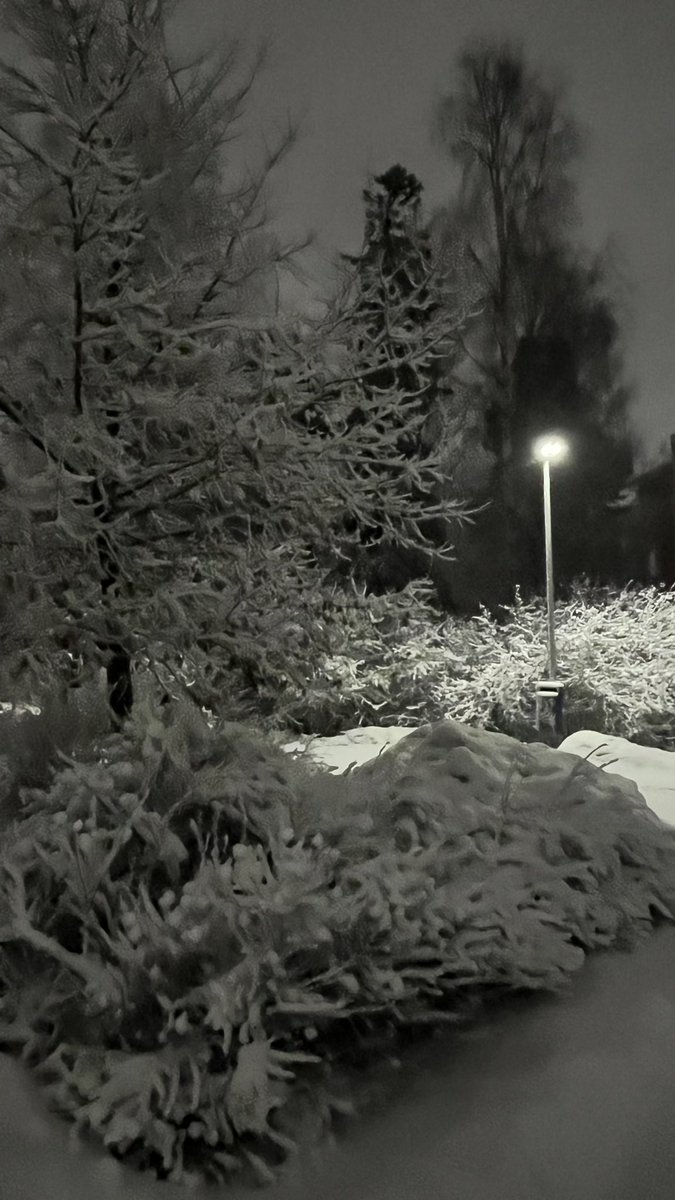 JukkaPartanen3's tweet image. In the mood for winter  again - this morning 17 March  #thisisfinland  #March #maaliskuu #kevät #spring #photography #landscapephotography #Landschaftsfotografie #streetphotography #nature #channel169 #ThePhotoHour #StormHour #SnowHour #春