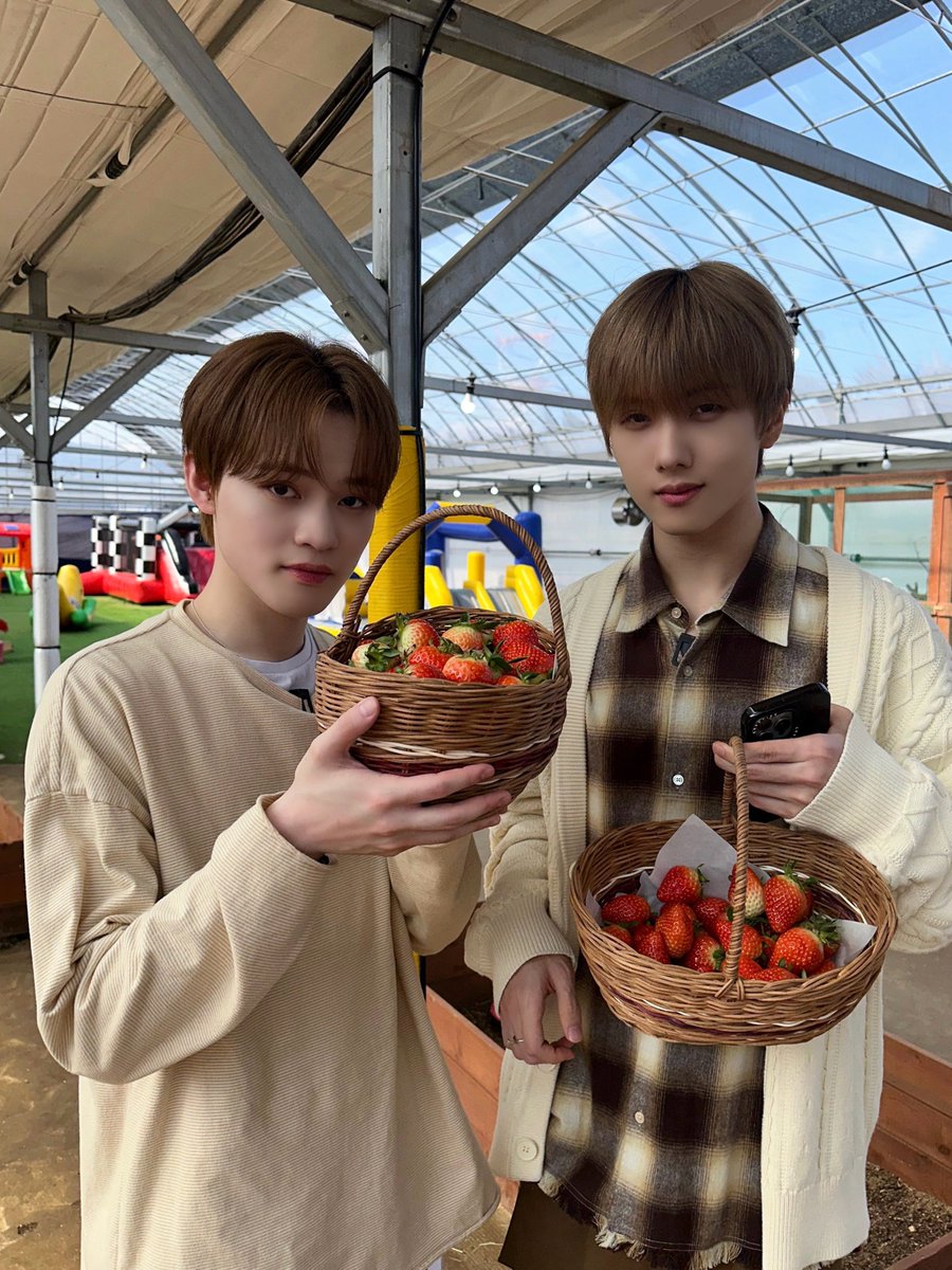 NCT tweet media