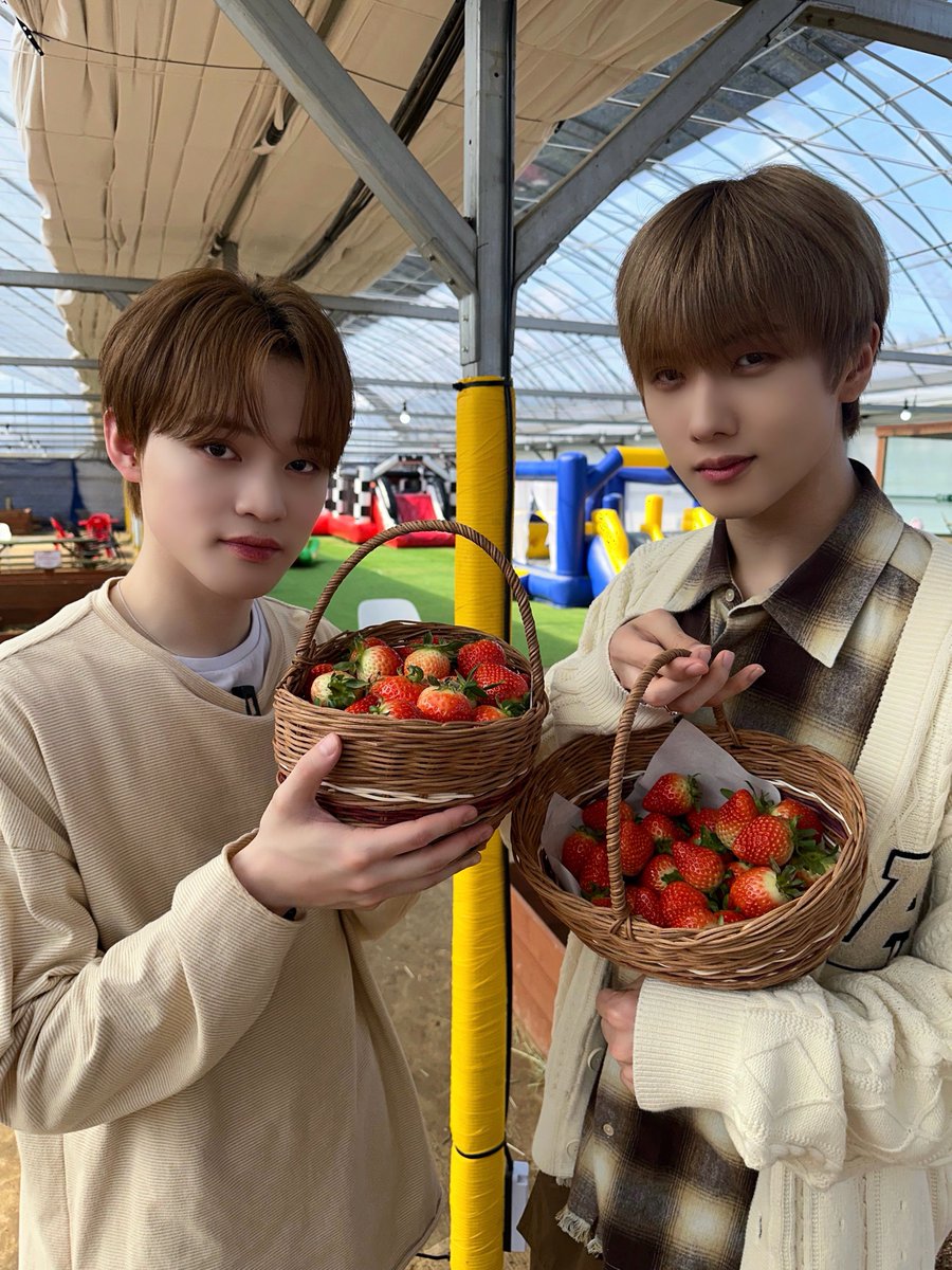 NCT tweet media