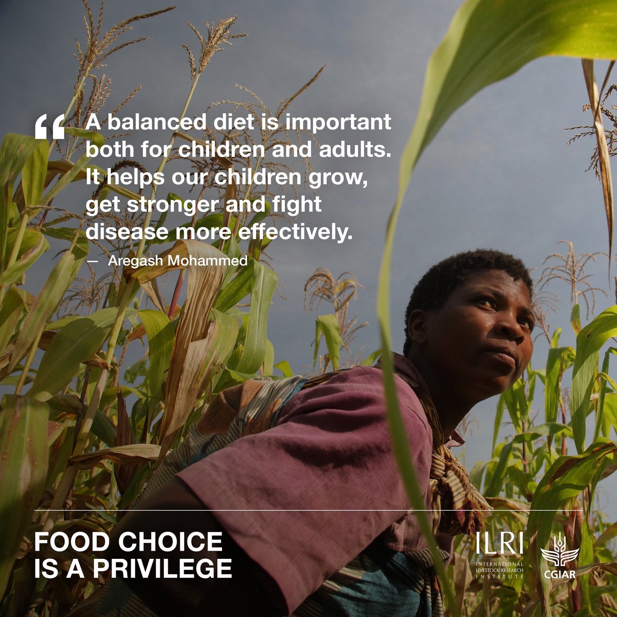 ILRI's tweet photo. #Animalsourcefoods are a valuable source of micronutrients for growing children and mothers.

Listen more here: https://t.co/bIhDLrsLKn https://t.co/B5MkUqifik