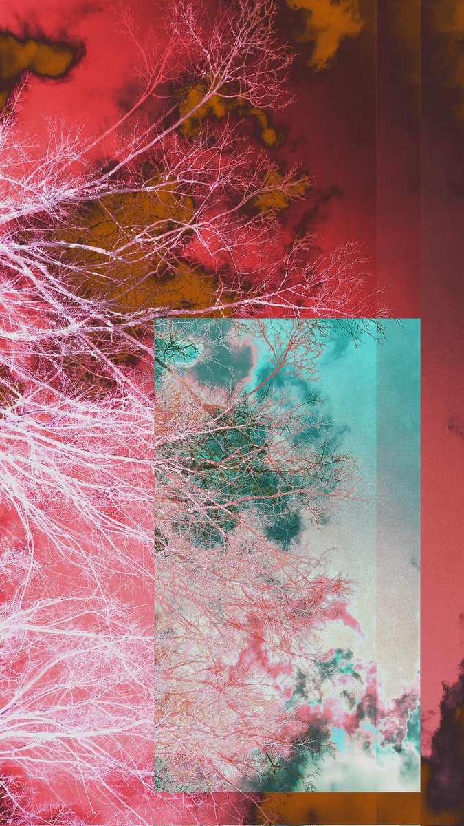 c_1784's tweet photo. 最近の作品🫠
#photographer
#art　#アート
#Glitch art https://t.co/Nbh0kXdF5R