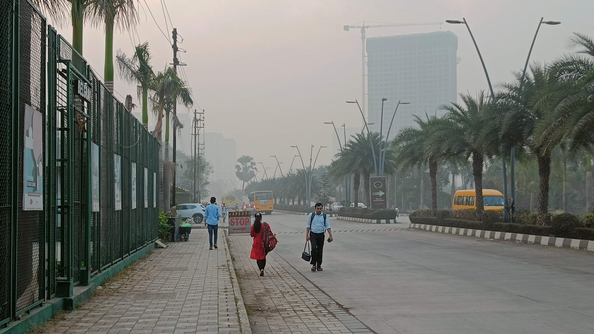 walkingproject's tweet photo. Certain trees have foliage characteristics that help reduce dust levels in their surroundings.

Despite how abundantly builders and developers in Mumbai put them up for their 'aesthetic', palm trees are not one of them 🌳🌴 
https://t.co/Tv7i1Gj4TZ
#AirPollution #ChooseWisely https://t.co/M8eqFVUsl2