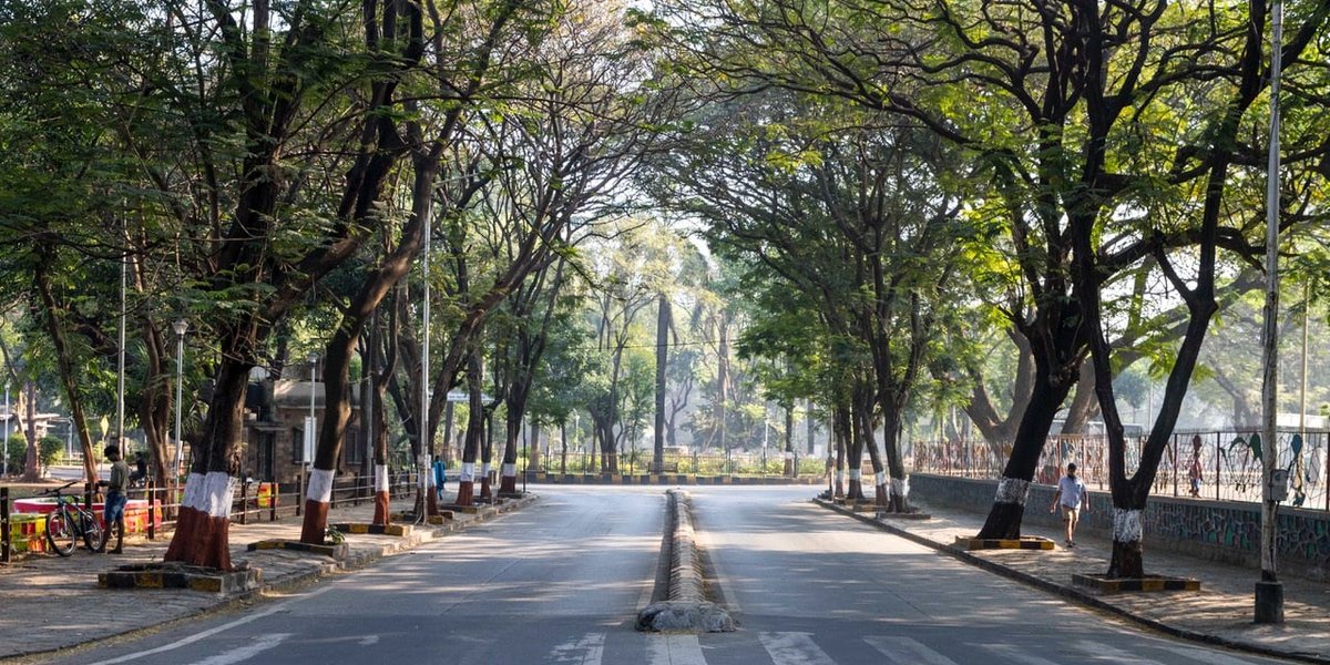 walkingproject's tweet photo. Certain trees have foliage characteristics that help reduce dust levels in their surroundings.

Despite how abundantly builders and developers in Mumbai put them up for their 'aesthetic', palm trees are not one of them 🌳🌴 
https://t.co/Tv7i1Gj4TZ
#AirPollution #ChooseWisely https://t.co/M8eqFVUsl2