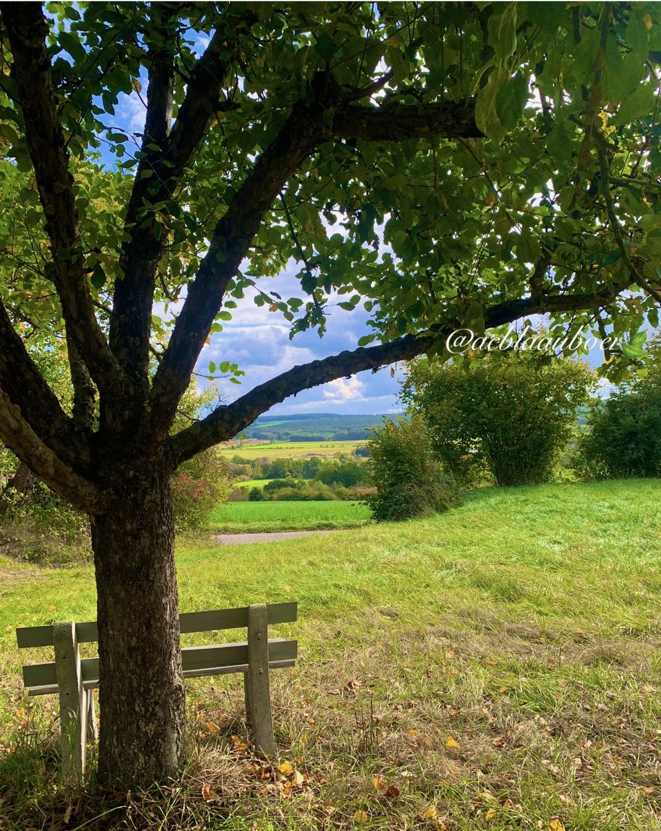 I sat in silent musing; The soft wind waving my hair; It told me heaven was glorious, And sleeping earth was fair. - Emily Bronte Wishing you a blessed Sunday.