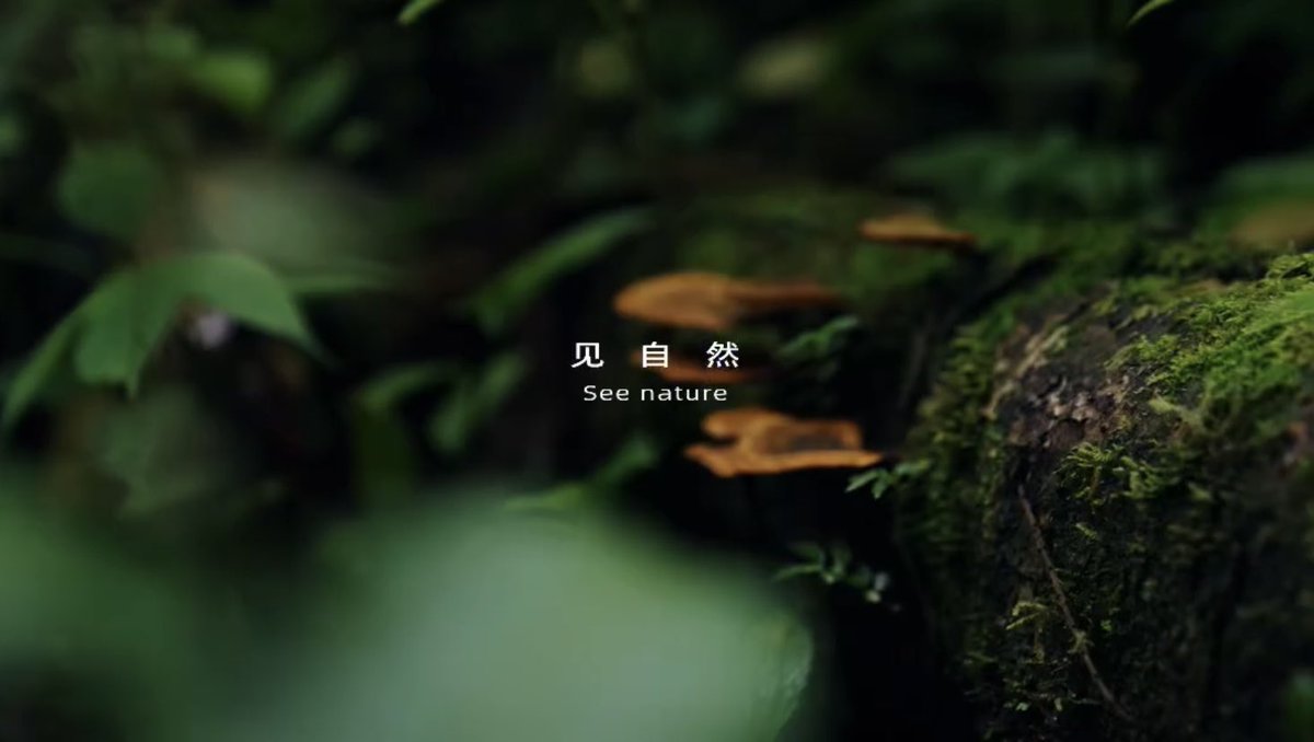 Alice Tang tweet media