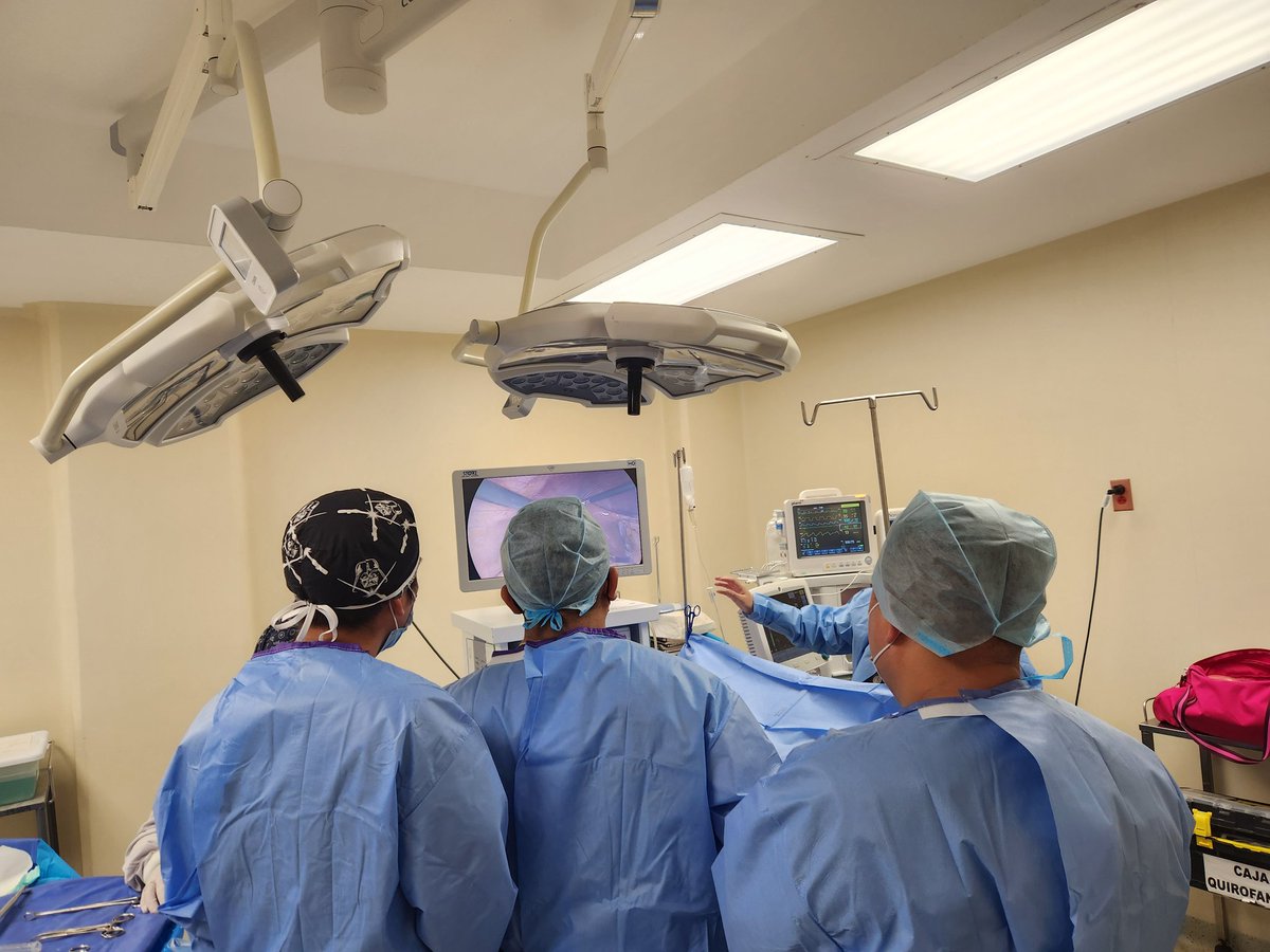 Clase vesícula 🤔