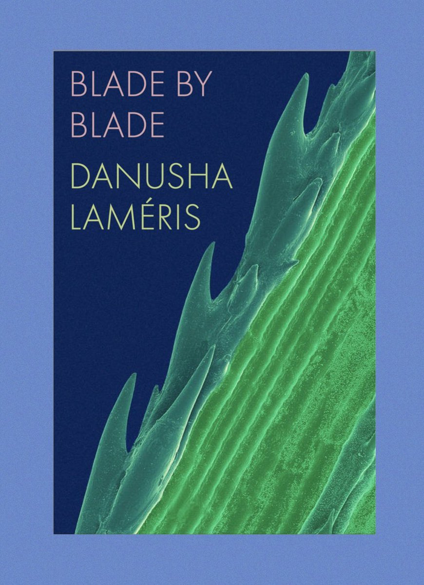 Soooooo—-excited to say I have a new book alert! Out in September 2024 and available for pre-order. @coppercanyon #bladebyblade