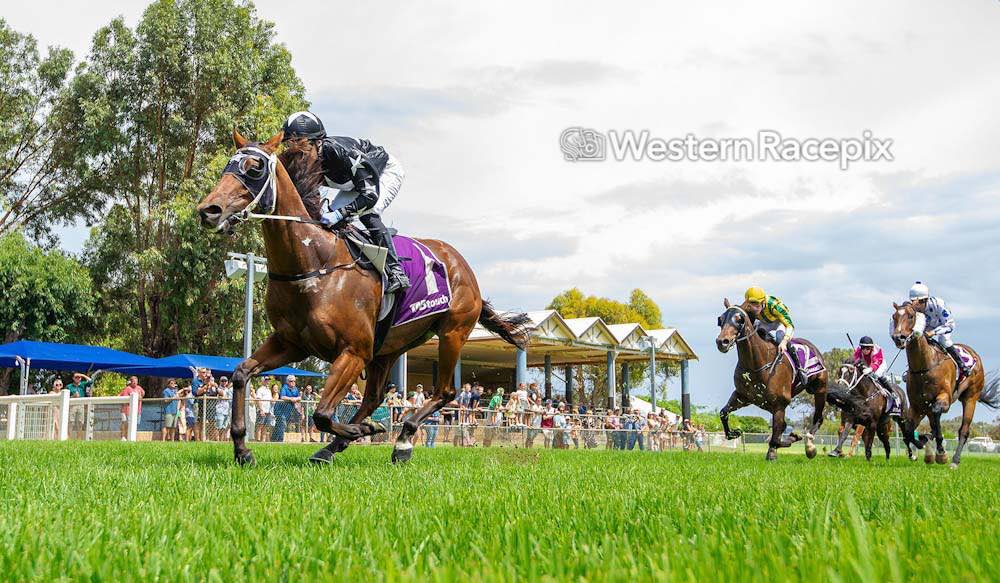 STAY ASTERN - Geraldton Sun 17th March @GeraldtonTurfCl #WesternRacepix #BataviaSprintDay More 📸 westernracepix.com