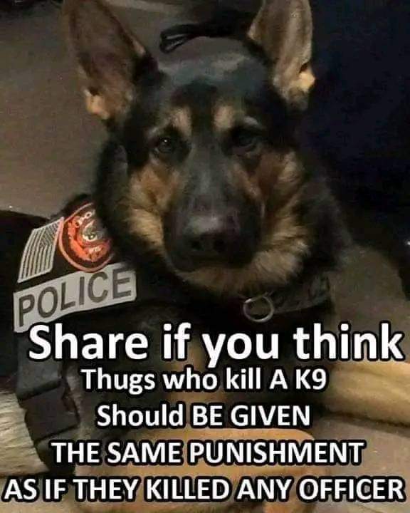 janninereid1's tweet photo. ABSOLUTELY!!!💯💯💯💯 https://t.co/BcgvyQvSDY