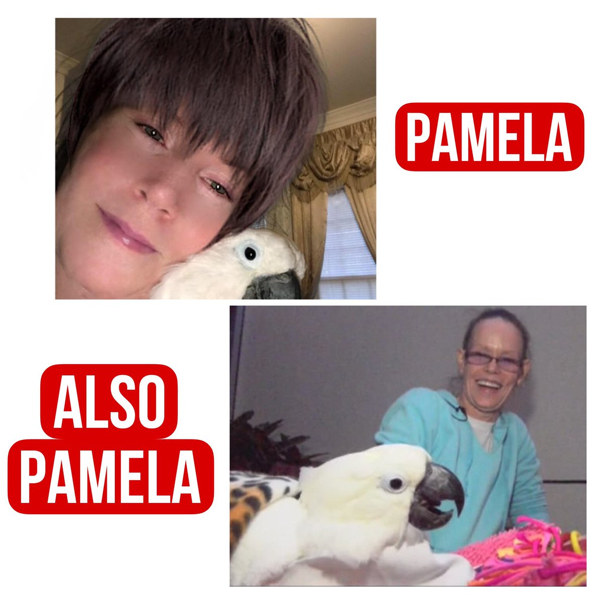 fordtay99's tweet photo. @pamela_brun1 Finish photoshopping the rest of your pics #exsposed https://t.co/pYtlSd2ueb