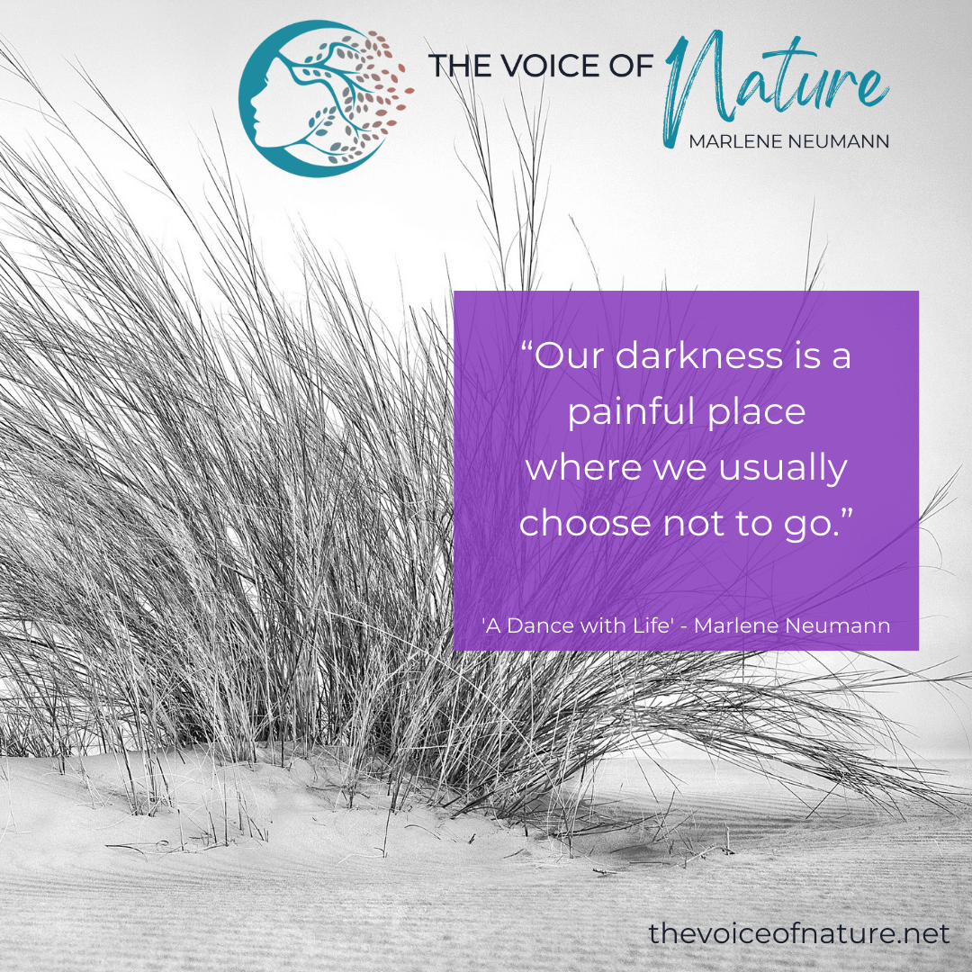 marleneneumann's tweet photo. โOur darkness is a painful place where we usually choose not to go.โ
Excerpt from my book, 'A Dance with Life.'
Link to get this book online
https://t.co/ErCqLUmhnR
#thevoiceofnature #photographylovers #lifeisamiracle #mindfuless #nature #photography https://t.co/jowB9p26QT