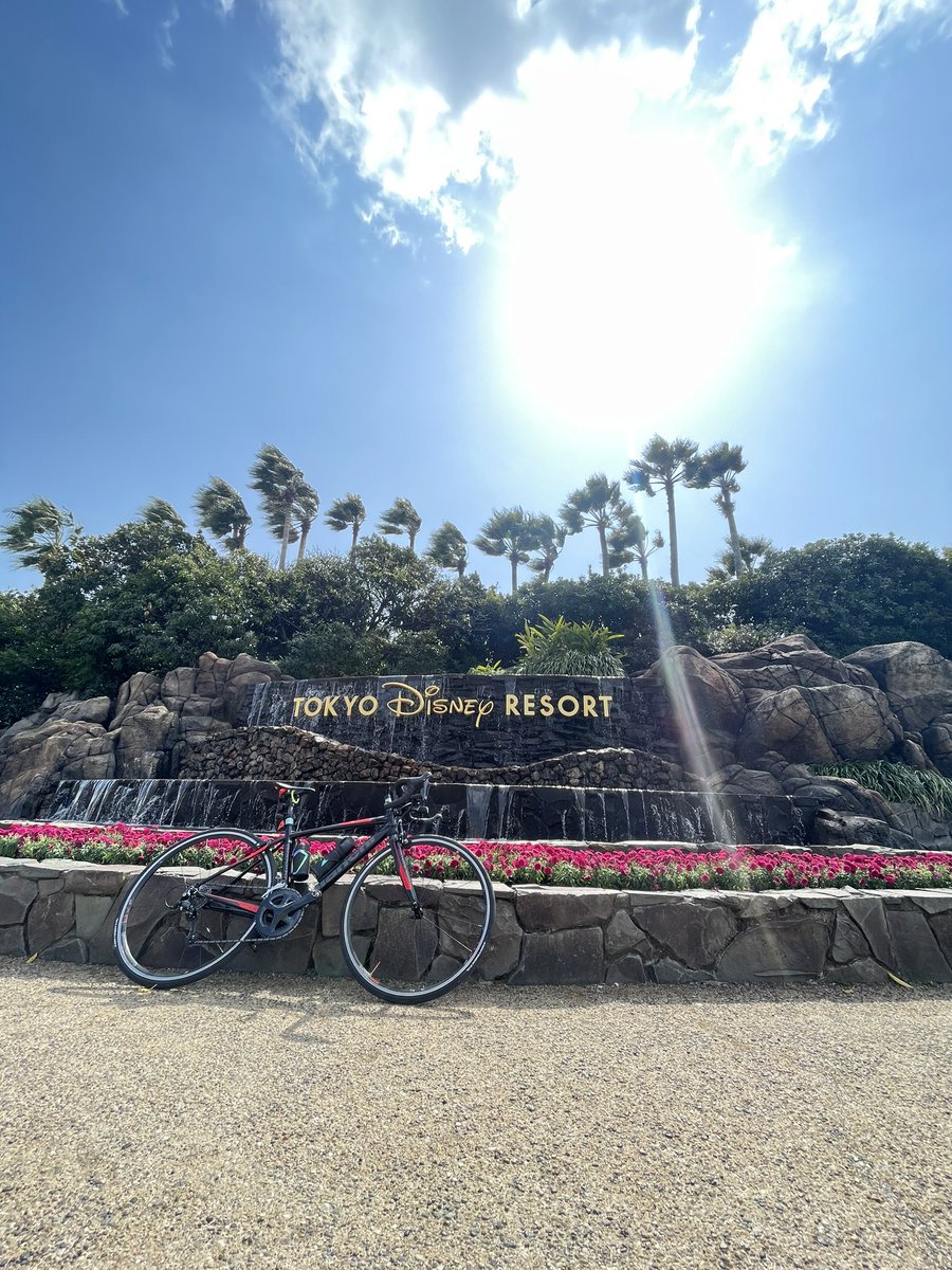 kitakoshi_reds's tweet photo. 今日は風が穏やかなのかと舐めてた…10mくらいじゃないか💦 久しぶりのTDL🐭 #ロードバイク #荒サイ #江戸サイ #86km https://t.co/z5IZUAsKB2