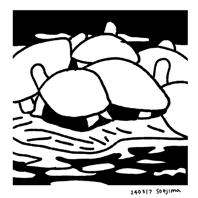 🐢 