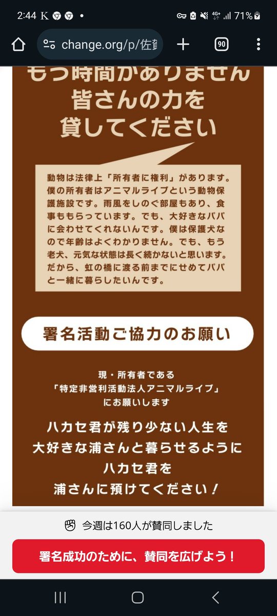 sZ6vkJCVro21387's tweet photo. ハカセ君が、浦さんと再び暮らせるように、拡散と署名を、お願い致します‼️#アニマルライブ動物虐待　#アニマルライブ https://t.co/2aBalSRgyr
