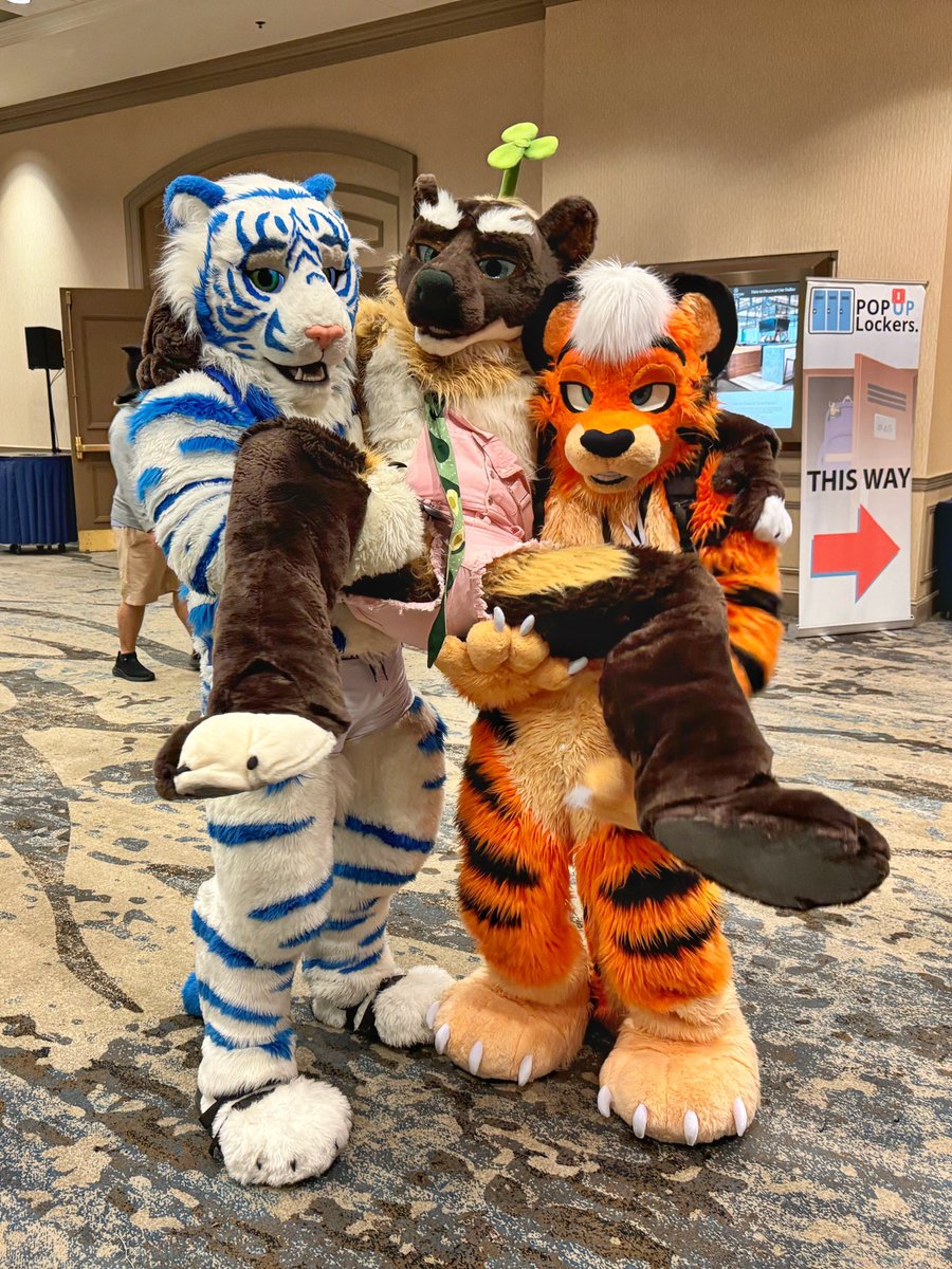 polycereal's tweet image. The feeling of being royalty with two tiger carrying you around 😇😇😇

@MARVOLtiger and @SlaspyWaspy at #TFF2024 #TFF24