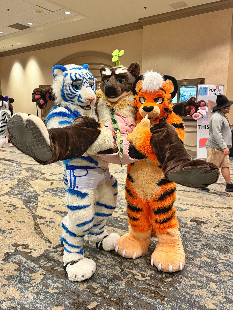 polycereal's tweet image. The feeling of being royalty with two tiger carrying you around 😇😇😇

@MARVOLtiger and @SlaspyWaspy at #TFF2024 #TFF24