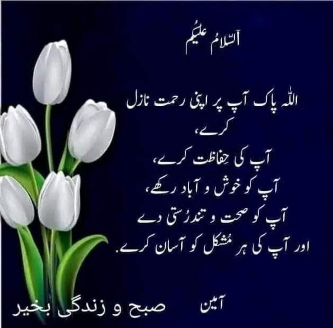 Aslamo alaikum
Good morning
Sub log salam.ka jawab diya karen