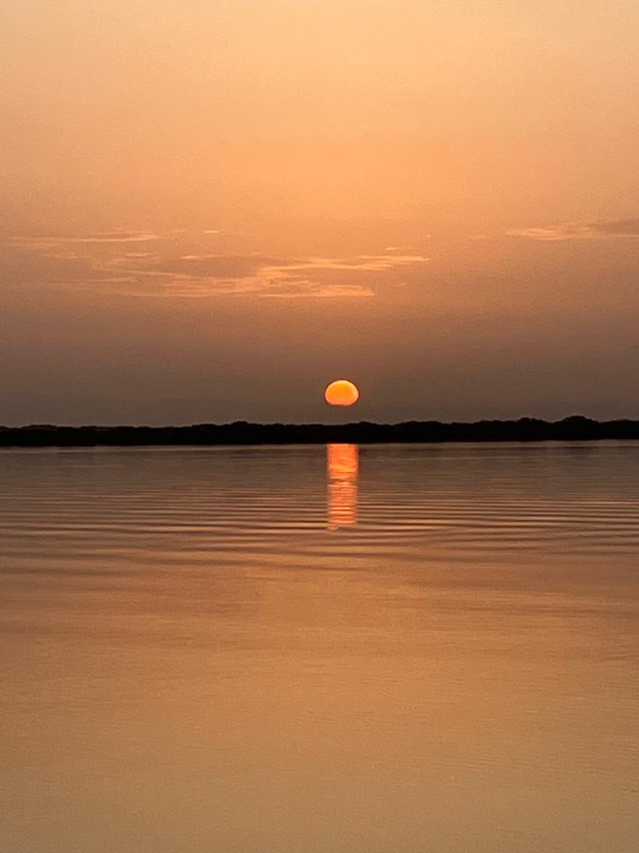 DC Lower School tweet media