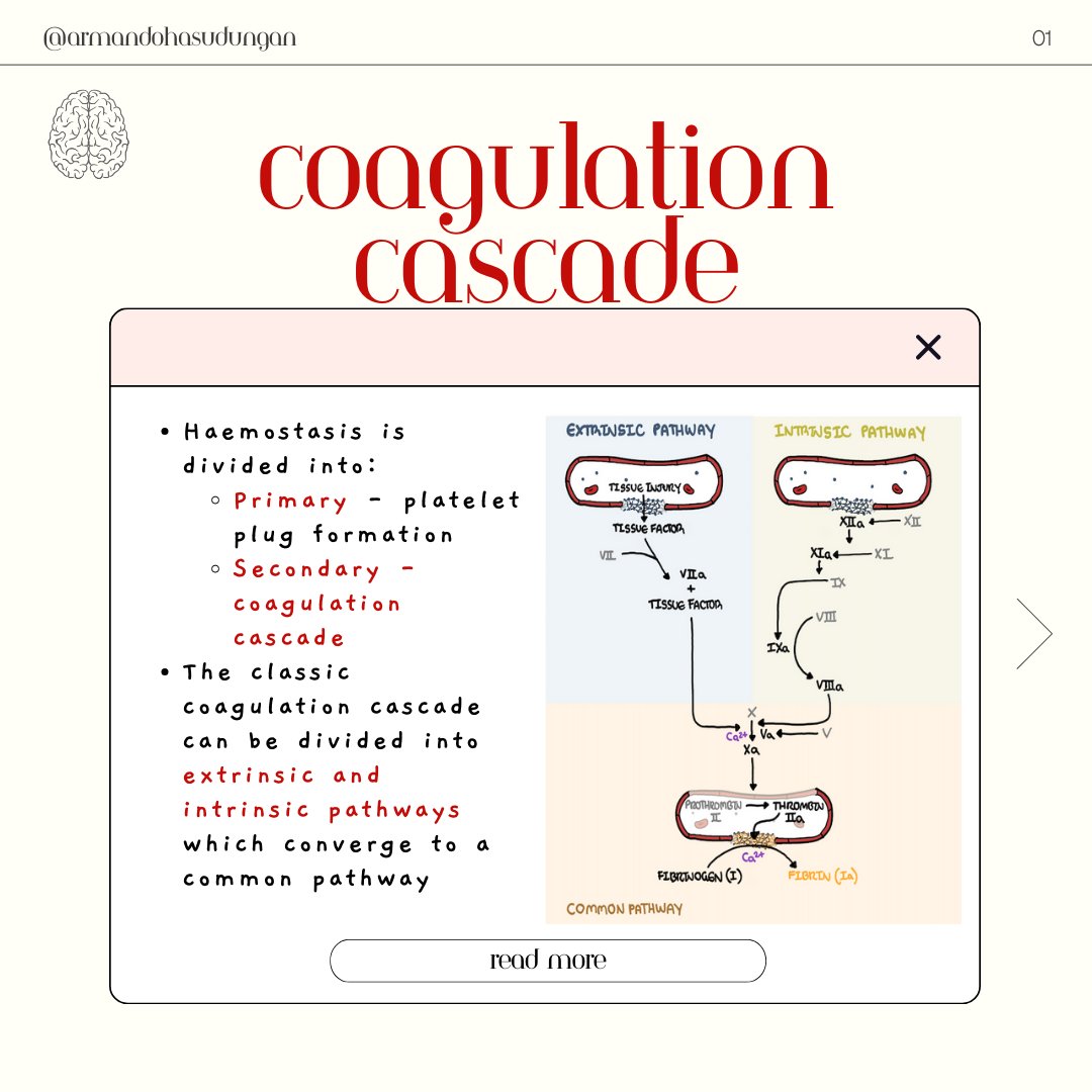 armandohasudung's tweet photo. The classic coagulation cascade is divided into the extrinsic and intrinsic pathway leading to a common pathway.
Watch the full video here: https://t.co/b5dA1DEuqf
.
.
.
#armando #coagulationcascade #bleedingdisorders #vonwillebrand #clottingfactor https://t.co/yvnb2b2ELg