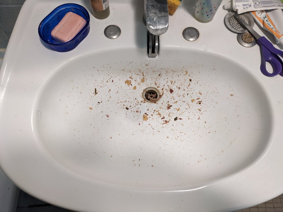 Maeamiam's tweet photo. Pourquoi je veux plus vivre en coloc :
(C'est pire en vrai + supplément odeur vomi) https://t.co/VeP8jYac2E