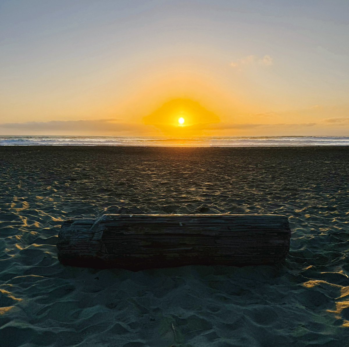sircacofonix's tweet photo. La playa, el sol, el océano estan listo para el atardecer pero el señor Carl no se porta bien juntos con ellos. https://t.co/jj7tJNBOhx