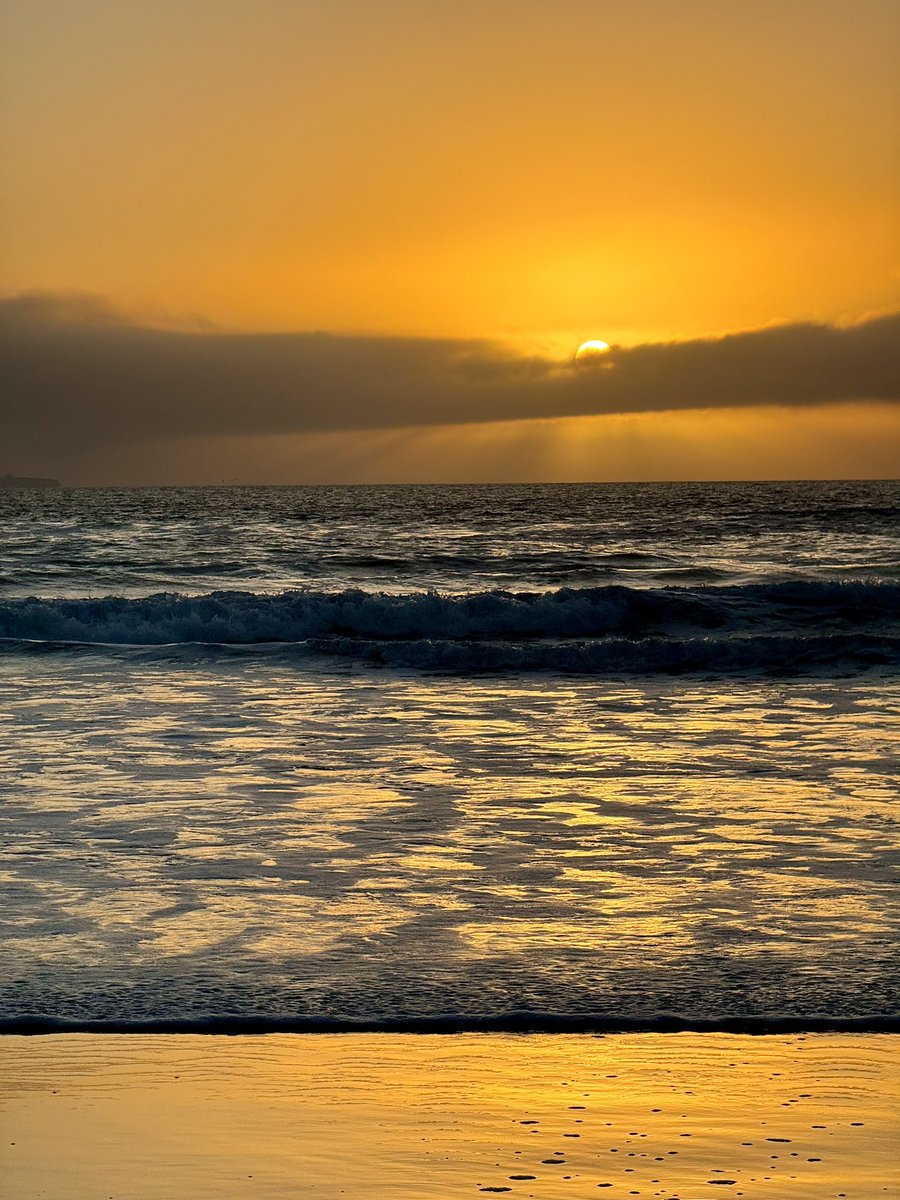 sircacofonix's tweet photo. La playa, el sol, el océano estan listo para el atardecer pero el señor Carl no se porta bien juntos con ellos. https://t.co/jj7tJNBOhx