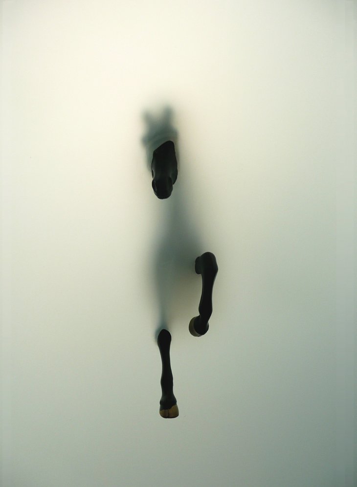 womensart1's tweet photo. Irish artist Miriam Sweeney, Subversion 2012 #WomensArt

#StPatricksDay https://t.co/jhbhByYu0w