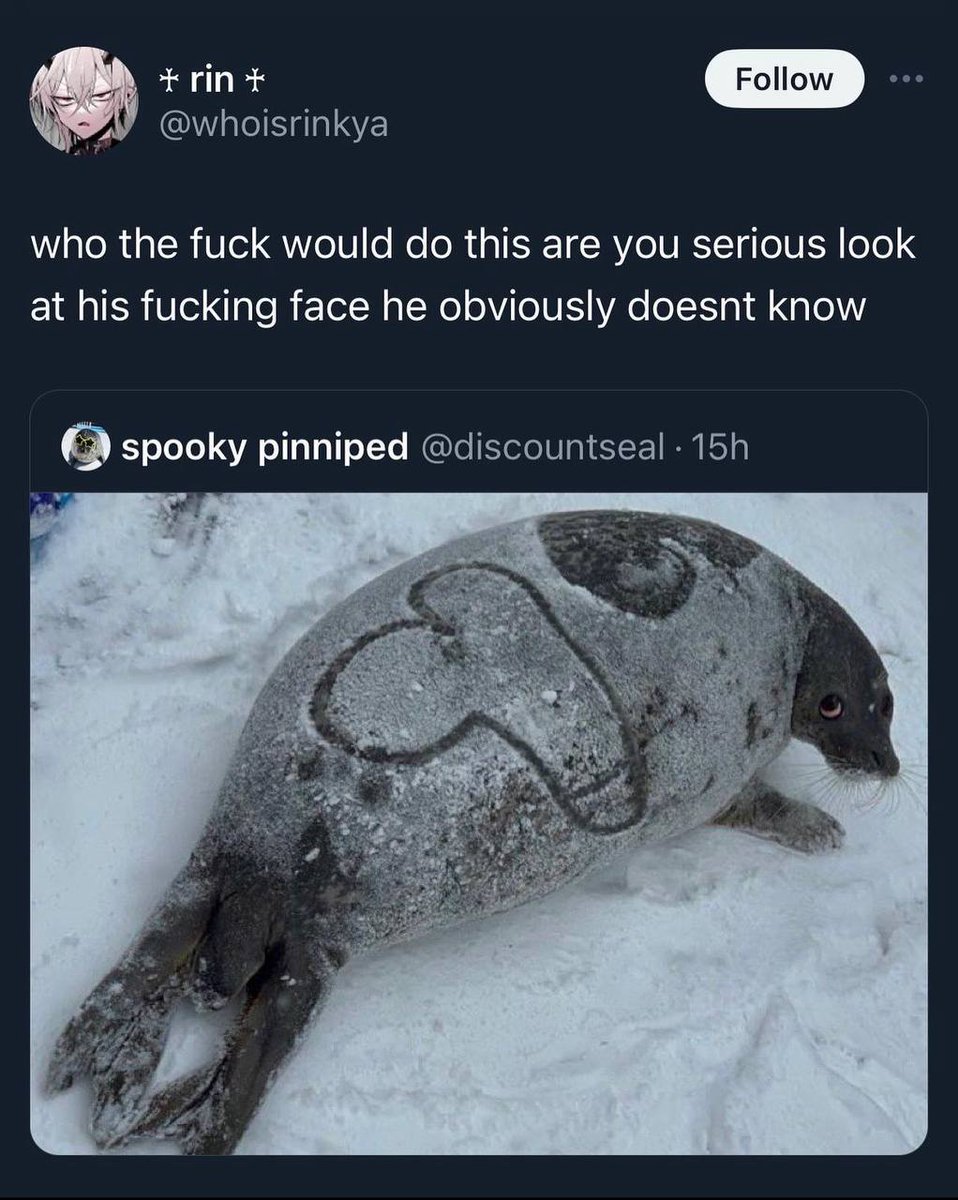 star 💫 tweet media