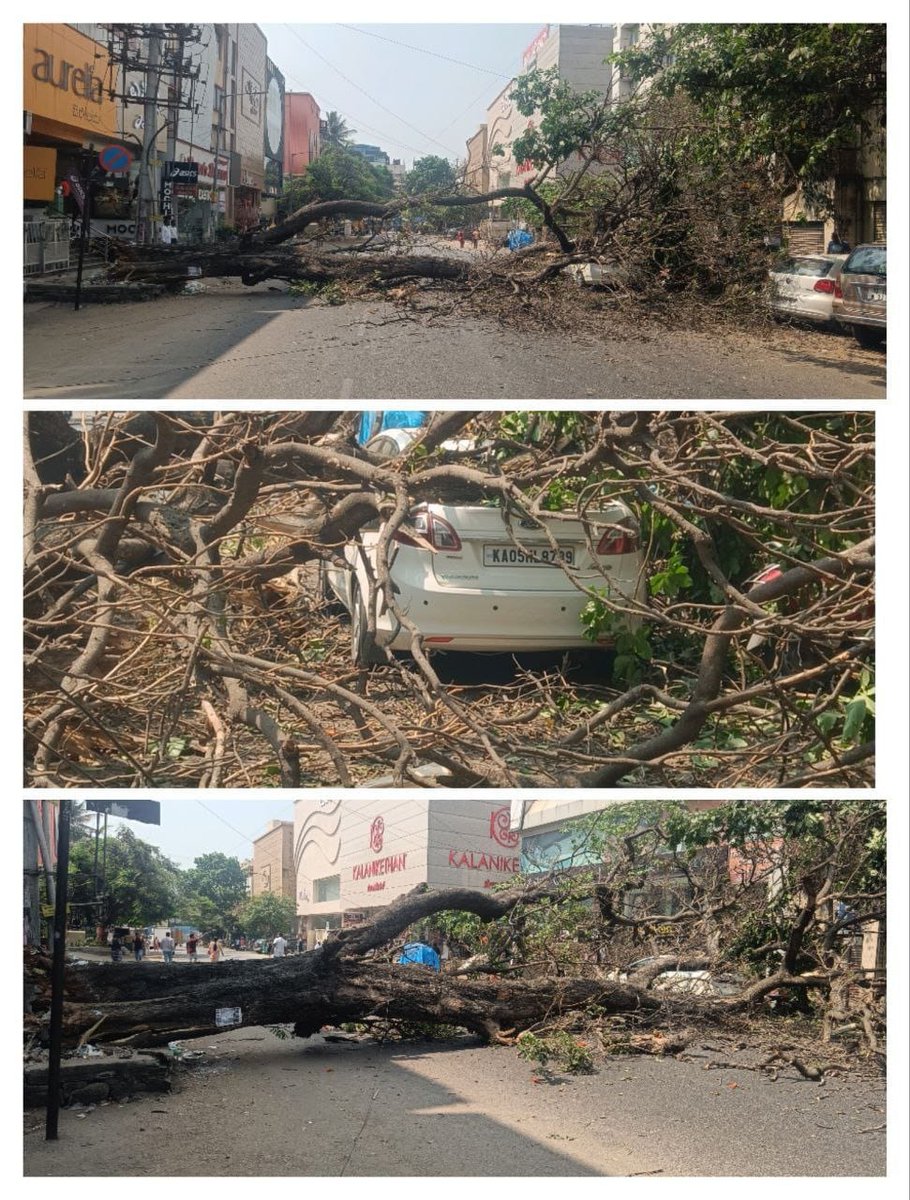 "Traffic advisory"
Slow-moving traffic due to a one  old tree falling down on the road. at 4th block, Jayanagara, and traffic diversion taken at Adigas junction.  it will be removed shortly. Kindly co-operate.