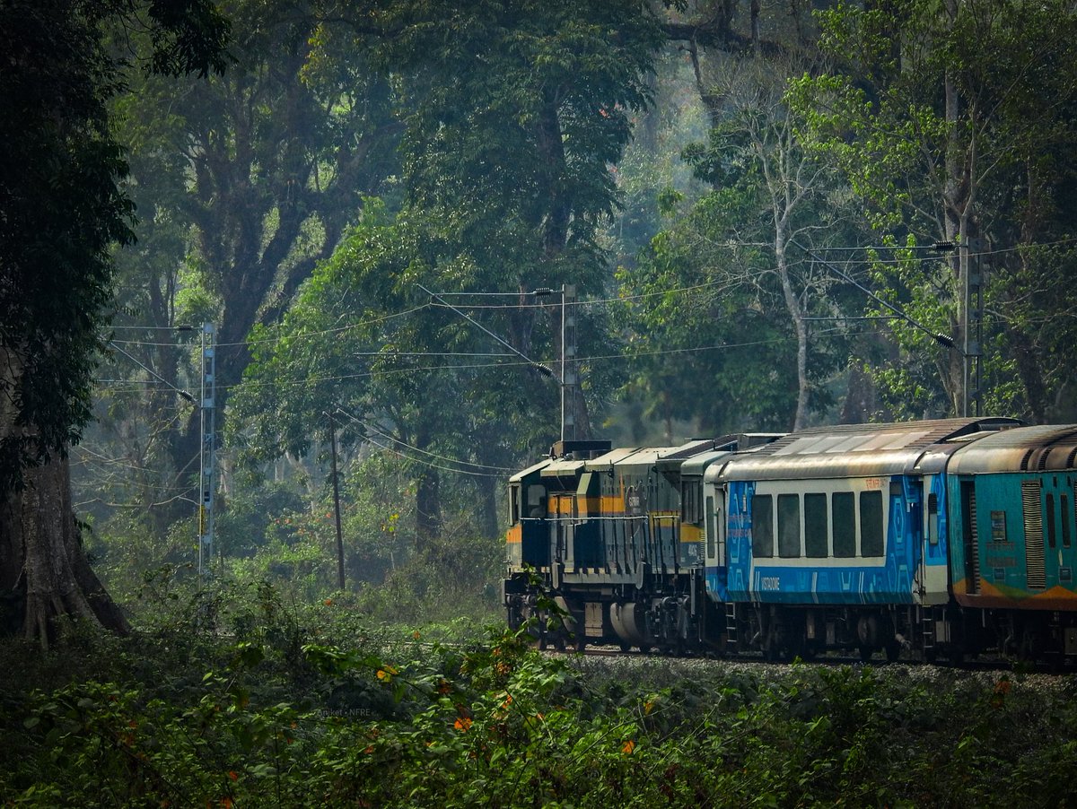 ⭐ The #ProtectorOfElephants in the zone of the #Elephants ⭐

Inframe :- SGUJ #WDP4D #40436 christened as #GAJPRAHARI curves towards its next halt through the dense #forest !!

#NFRailEnthusiasts 
@drm_apdj | @RailNf | @RailMinIndia