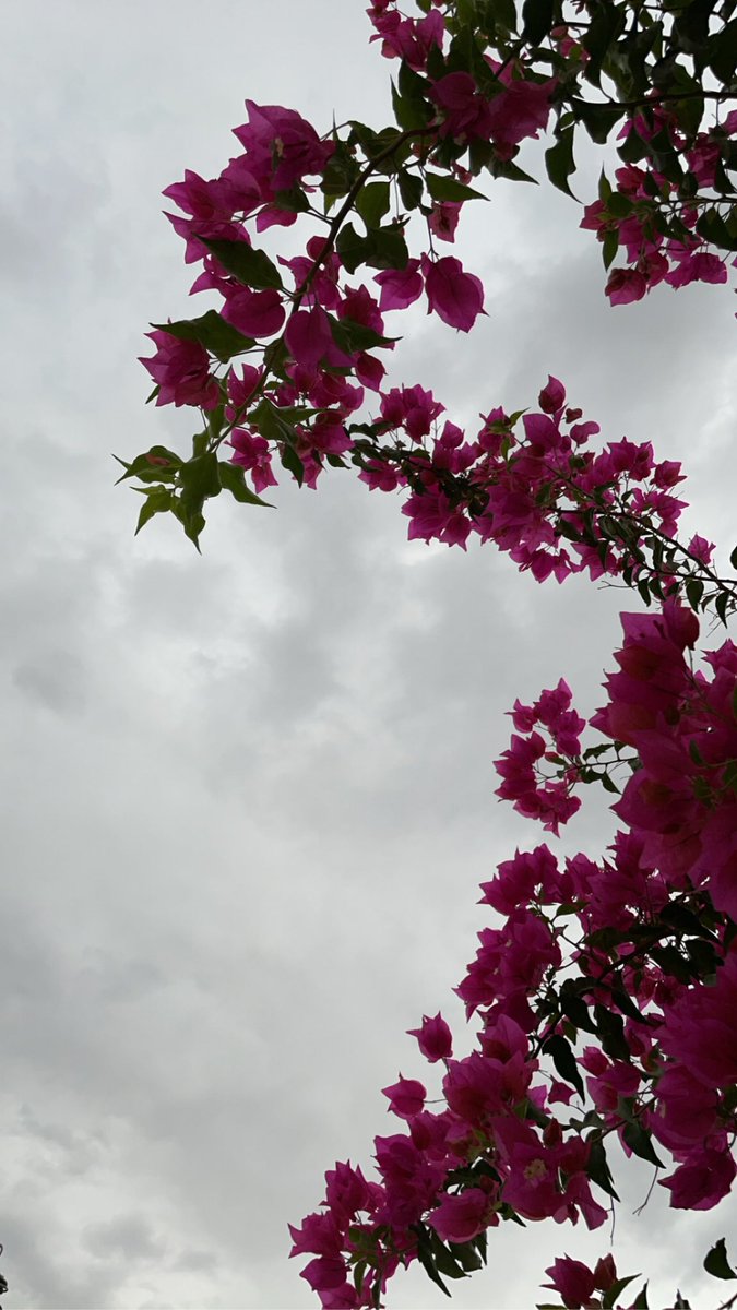٧ رمضان:

   " وإني ياربِّ قد وليتك كُل ما في قلبي فاستجب لِي ."