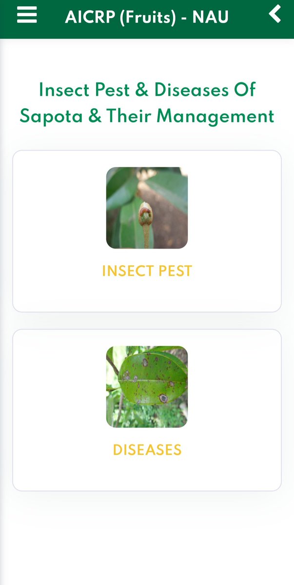 DrBisane's tweet photo. My Mobile App on "Sapota Insect Pests &amp; Diseases &amp; their management" prepared under ICAR-AICRP (Fruits) by FRS, NAU, Gandevi is on Google play store (AICRP-NAU). Plz download, like &amp; share app link 👇 for dissemination
https://t.co/U1NBC4bUfx

@pcfruits @NAUOfficial @vc_nau https://t.co/dPH7X1YB93