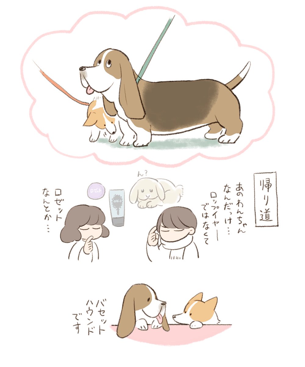実物にお会いしたのは初めて 