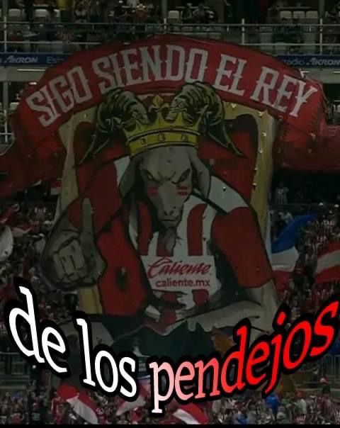 ChivasShitpost's tweet photo. EL ÚNICO ☝🏻🐐👑 https://t.co/9XVpx4Fjhr
