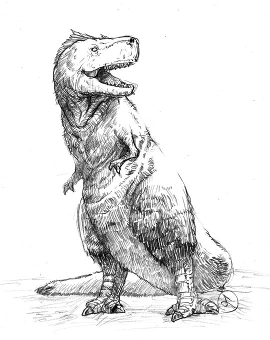 これは最新の学説に基づいた羽毛ティラノサウルス。
#恐竜 #ティラノサウルス #古代生物 