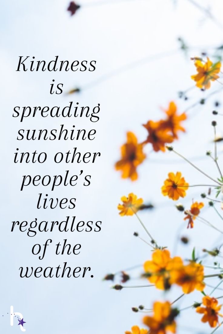 RT @Dianne__LadyD #RainKindness
#LifeisBeautiful 
#KindnessMatters 
@ChaneyCoaching 
#JoyTrain 
#GoldenHearts
#starfishClub 
#ThinkBigSundayWithMarsha