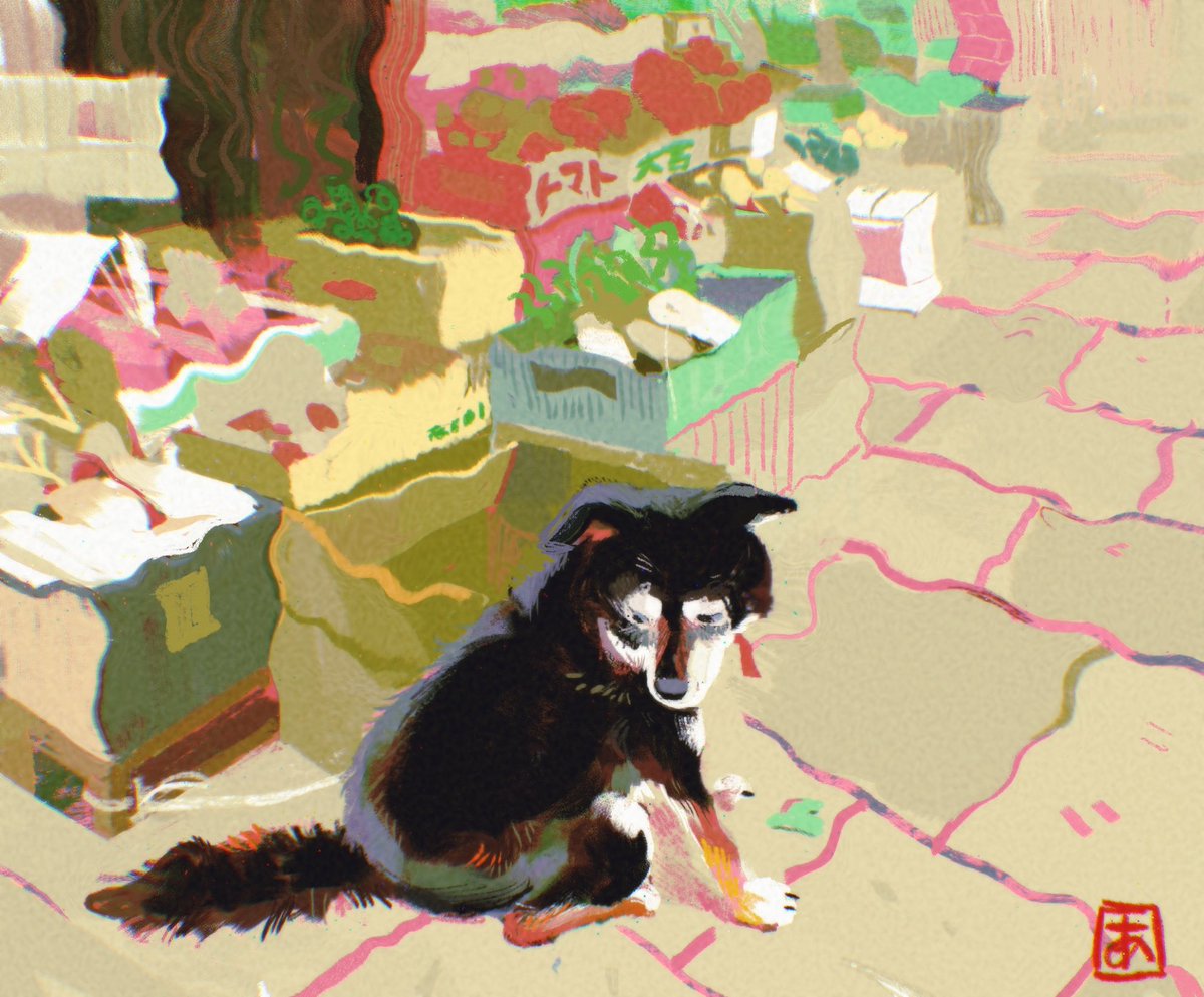 おじいちゃん犬 🐶🥺