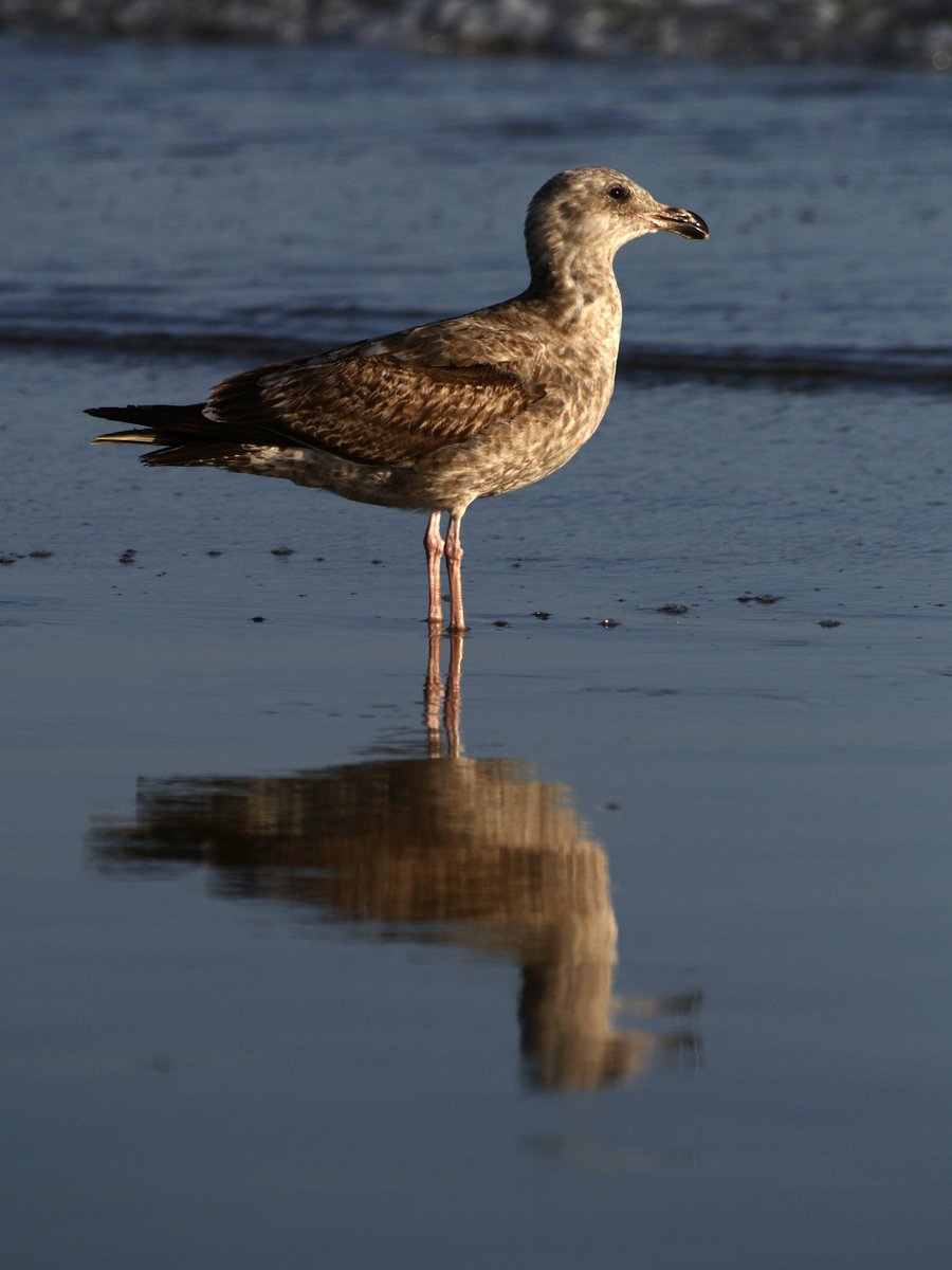 MattParson100's tweet image. Olympus E-300
#soocjpeg #ccdsensor