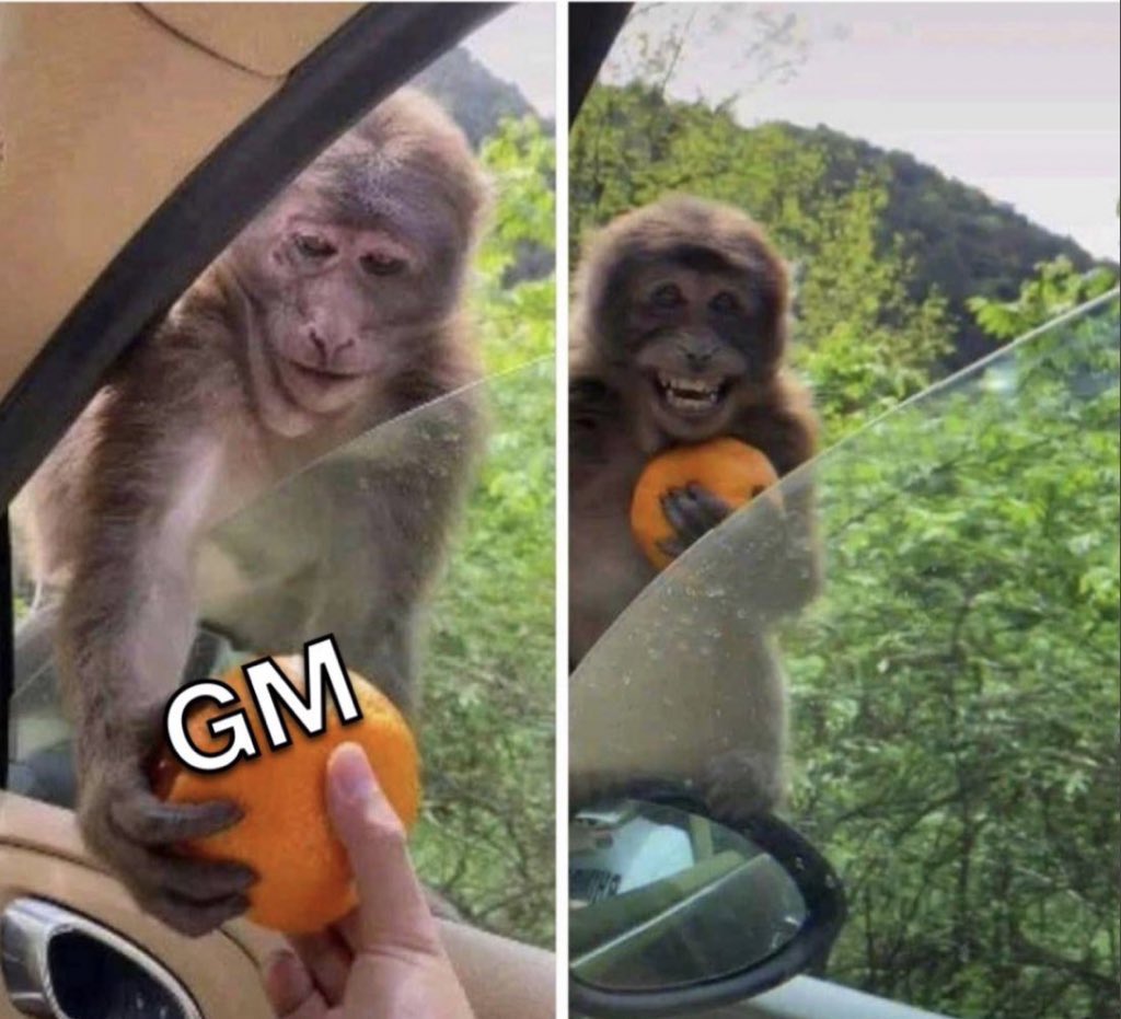 Kong Trading 🦍 tweet media
