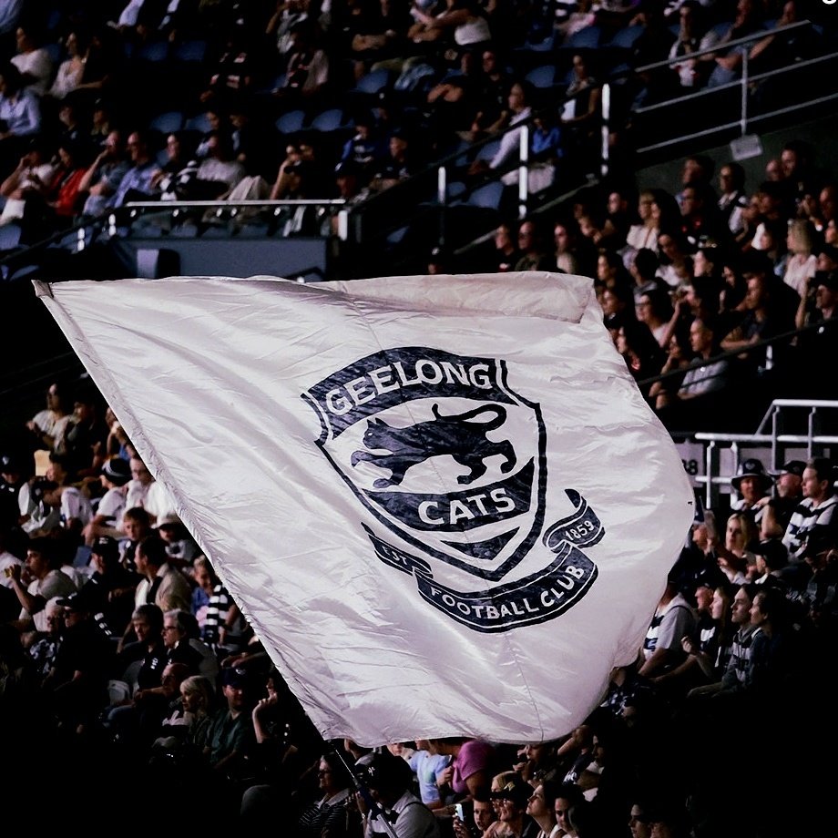 dnorm34's tweet image. #NewProfilePic