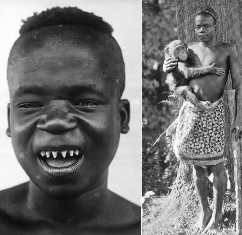 In 1904, Ota Benga was abducted from Congo and transported to the United States, where he was put on display alongside monkeys. 

Benga was placed in a cage with an orangutan as a lampoon on Darwinism. 

Benga he was given a functional bow and arrow to protect himself from the