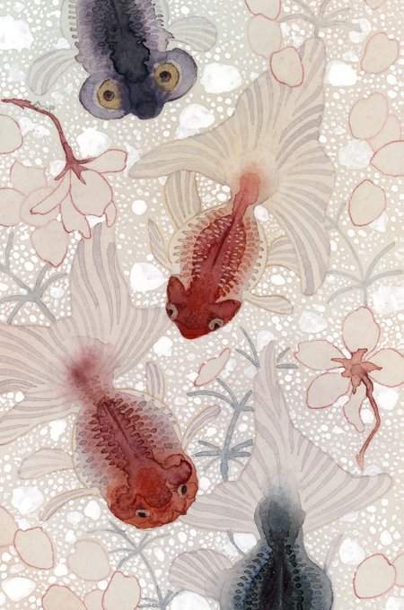 「goldfish」 illustration images(Latest｜RT&Fav:50)