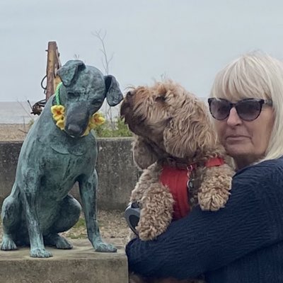 ChapelhowSue's tweet photo. #NewProfilePic https://t.co/sE7L3mXFtX