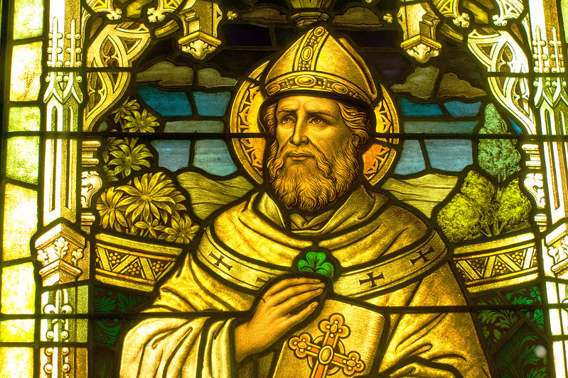 ☘️Happy St Patrick's Day folks! 

People say St Patrick explained the Holy Trinity using a shamrock. (Actually, there's no evidence of this in any of his writing - and his association with the plant only started to be written about in the 16th century). 

But what IS a shamrock?