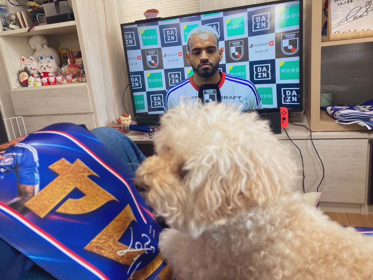maronchanleo's tweet photo. ヤレバデキまちね🐶✨
＃fmarinos
＃VICTORY 💪
＃ALOPES https://t.co/Dcyf48XN5A