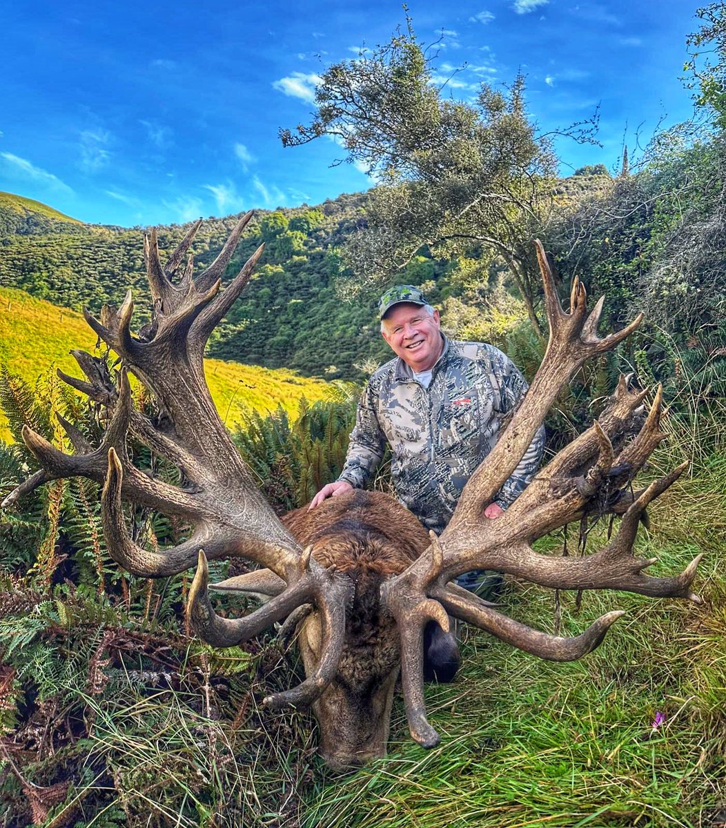 MrJR_Hunting's tweet photo. One of our US clients managed to connect with this dandy red stag a couple of weeks ago in the green rolling hills of the South Island 🤩👊🏽 what a beauty! Congrats guys, way to go!

Come hunt with us in New Zealand in 2025 🎯

For more details please email 📧 INFO@JRHUNTING.COM https://t.co/Sim4nQNZpW