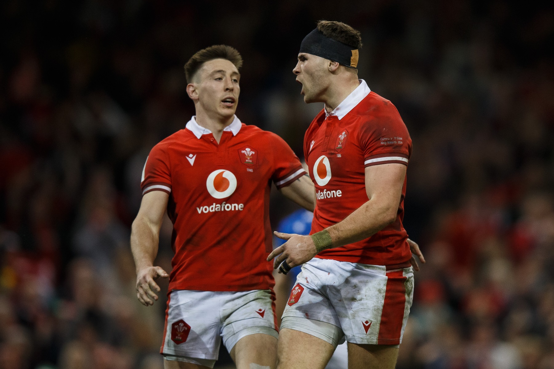 Walesonline rugby on sale