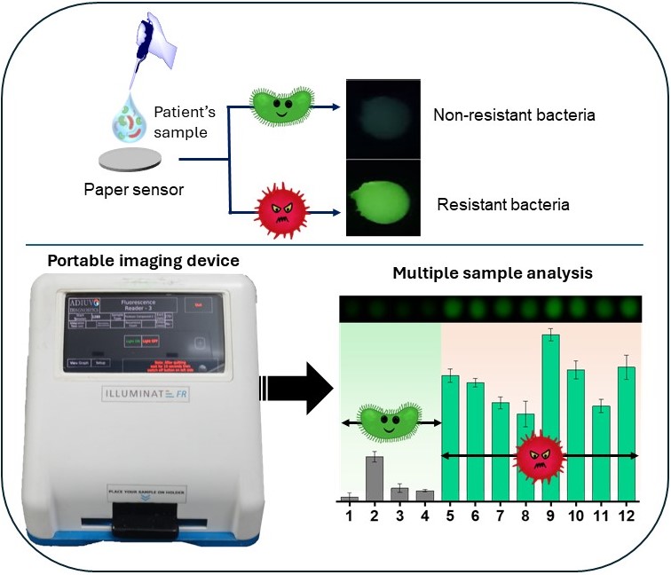 iiscbangalore's tweet photo. Researchers at IISc and @jncasr have developed a paper-based platform that can help quickly detect the presence of antibiotic-resistant, disease-causing bacteria.

It would be an inexpensive and time-saving approach for testing samples.

https://t.co/Tikgsv2BpD

#IIScresearch https://t.co/oIr2qcZ0Ww